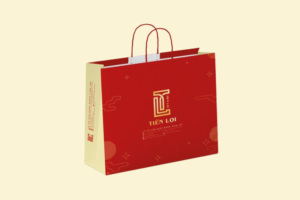 TG16 Túi Giấy Mỹ Thuật Cán Gân Cao Cấp 20 x 10 x 30 cm