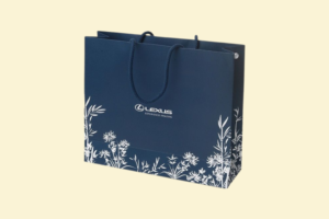 TG19 Túi Giấy Thời Trang In UV Logo 28 x 12 x 35 cm