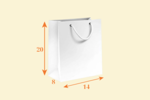 TK02 Túi Kraft trắng quai giấy 14×8×20