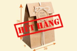 TK16 Túi Kraft có nắp gập 20×9×26