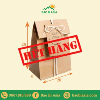 TK16 Túi Kraft có nắp gập 20×9×26