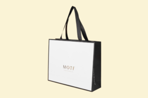 TQ02 Túi giấy mỹ thuật phủ mờ 22 x 10 x 28 cm