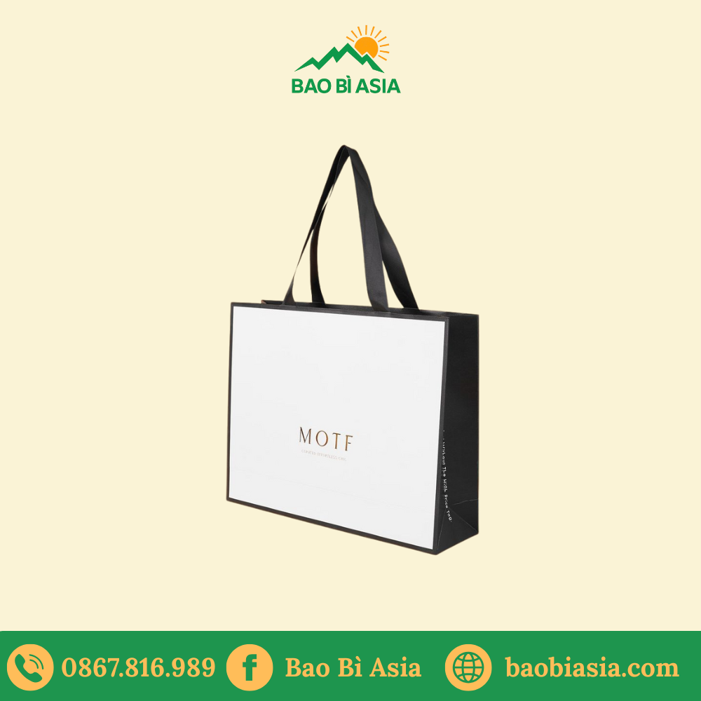 TQ02 Túi giấy mỹ thuật phủ mờ 22 x 10 x 28 cm