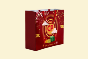 TQ11 Túi giấy quà Tết in logo thương hiệu 22 x 9 x 27 cm