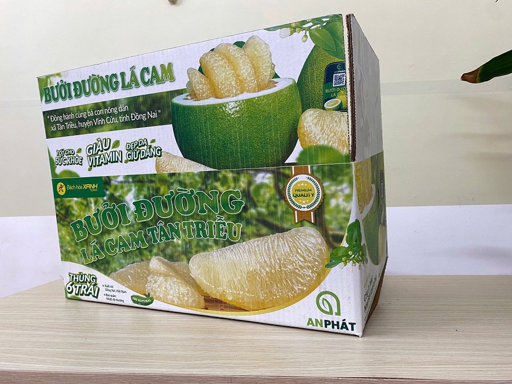Thùng Carton in Offset bồi