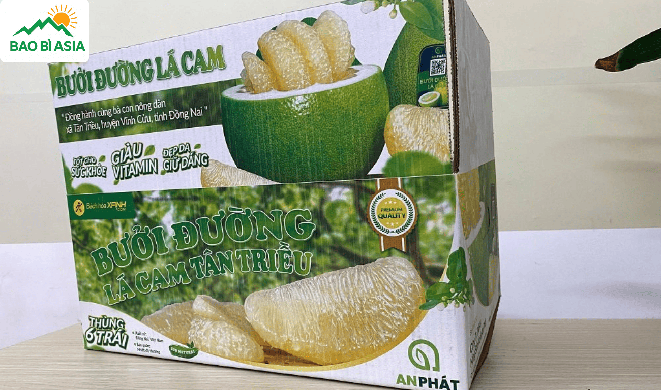 Thùng Carton in Offset bồi