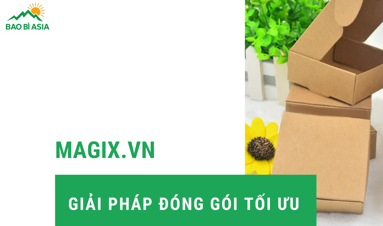 Công ty TNHH Giải pháp Đóng gói Magix Việt Nam