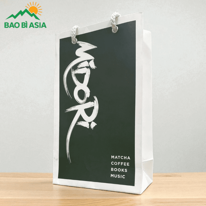 Mẫu túi giấy tại Bao Bì Asia