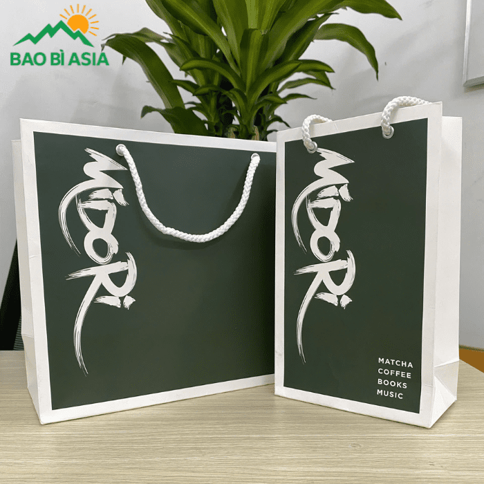 Mẫu túi giấy tại Bao Bì Asia