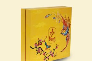 HQT10 - Hộp Đựng Quà Tết Đỏ Vàng An Khang