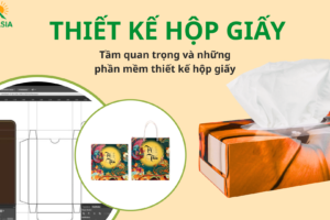 Thiết kế hộp giấy