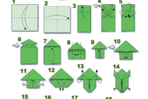 Mẫu cách gấp ếch 4