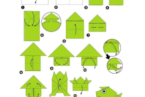 Mẫu cách gấp ếch 7