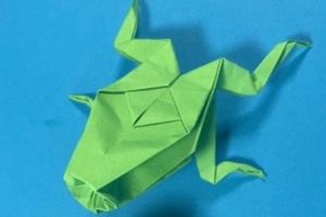 Mẫu cách gấp ếch 9