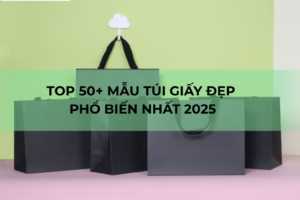 Top 50 mẫu túi giấy đẹp