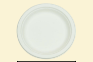 Đĩa giấy tròn mẫu 02