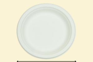 Đĩa giấy tròn 03