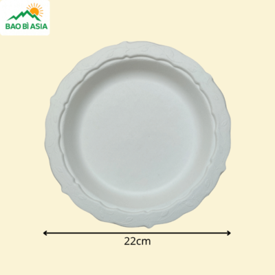 Đĩa giấy mẫu 04