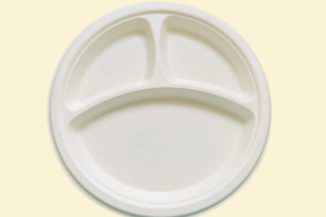 ĐG07 - Đĩa giấy tròn có ngăn 30 cm