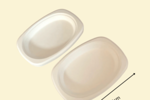 ĐG08 - Đĩa giấy sâu lòng 17 cm