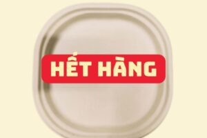 ĐG019 – Đĩa giấy bã mía vuông bo góc 25 × 25 cm