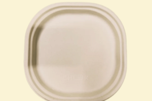 ĐG019 - Đĩa giấy vuông bo góc 25 × 25 cm