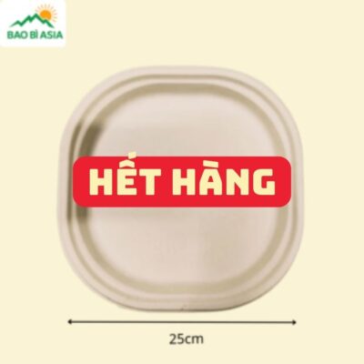 ĐG019 – Đĩa giấy bã mía vuông bo góc 25 × 25 cm