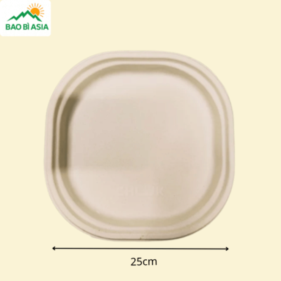 ĐG019 - Đĩa giấy vuông bo góc 25 × 25 cm