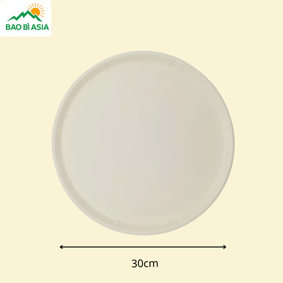 ĐG024 - Đĩa giấy pizza lớn 30 cm