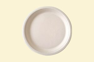 Đĩa giấy bã mía tròn 18cm