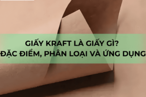 Giấy kraft là giấy gì