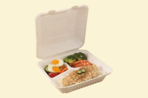 Hộp bã mía 3 ngăn đựng cơm mang đi