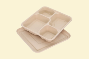 Hộp bã mía 4 ngăn (size 20x25cm)