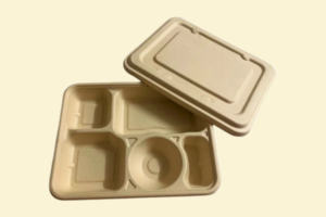 Hộp bã mía 5 ngăn (size 22x28cm)