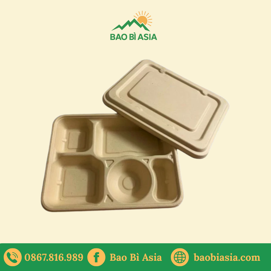 Hộp bã mía 5 ngăn (size 22x28cm)