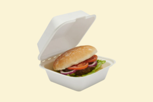 Hộp bã mía đựng burger