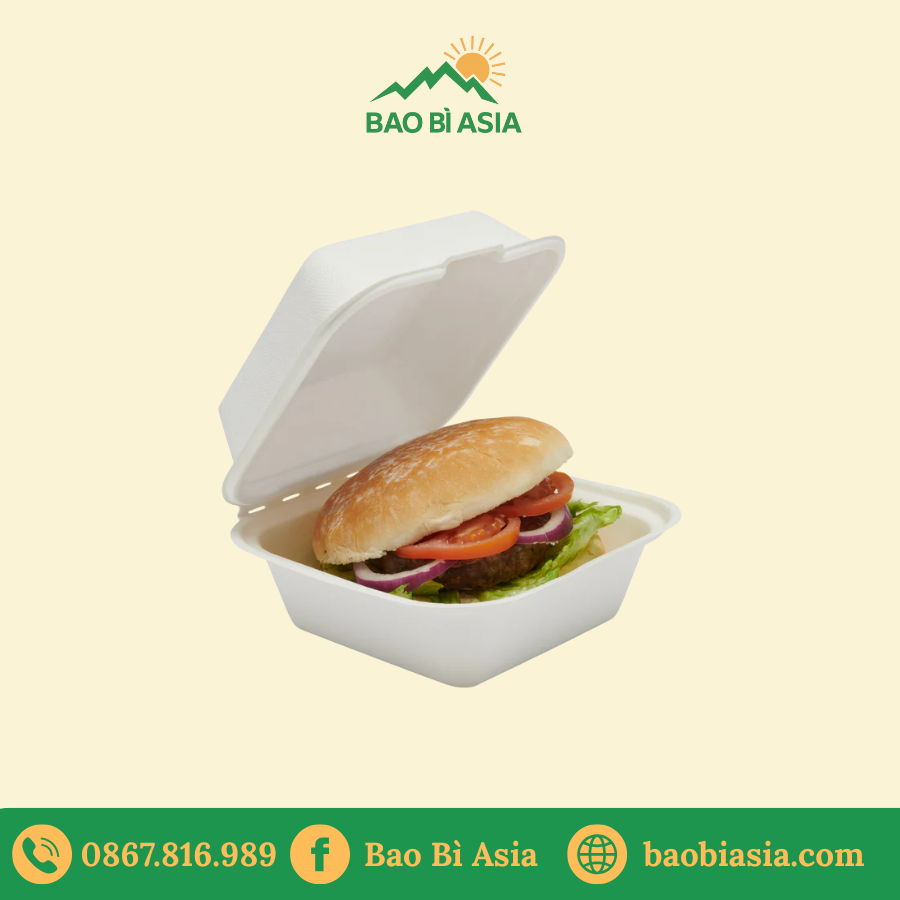 Hộp bã mía đựng burger