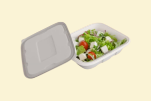 Hộp bã mía đựng salad