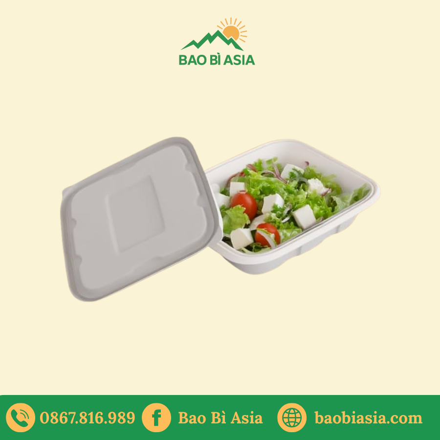Hộp bã mía đựng salad