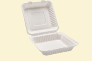 Hộp bã mía vỏ sò 20cm