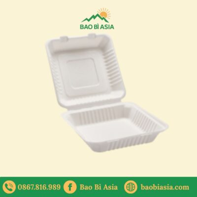 Hộp bã mía vỏ sò 20cm