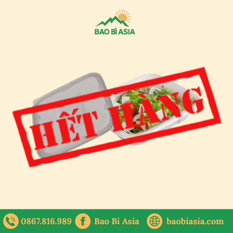 Hộp bã mía đựng salad