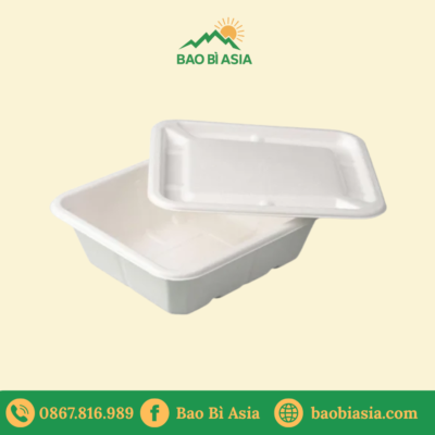 Hộp bã mía vuông 1000ml + nắp bã mía