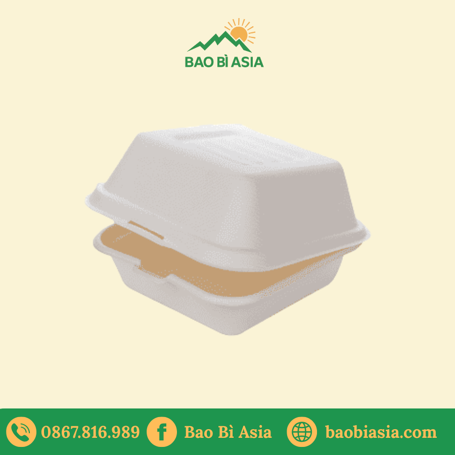 Hộp bánh bao bằng bã mía 500ml