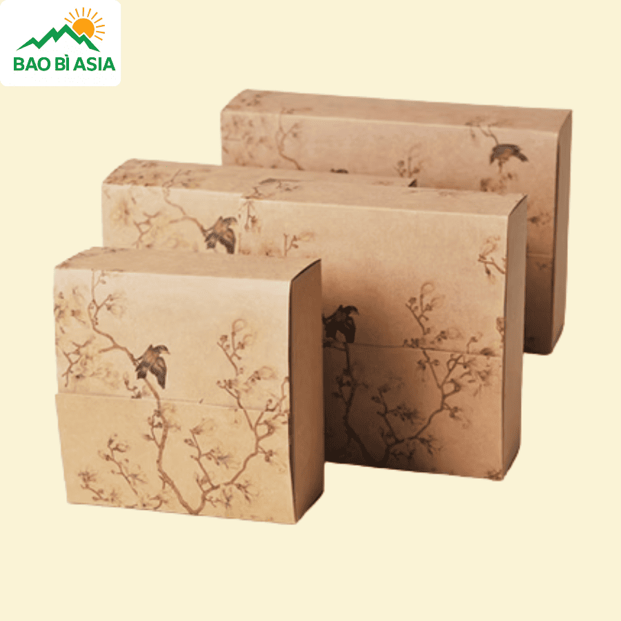 Mẫu hộp giấy, túi giấy 2