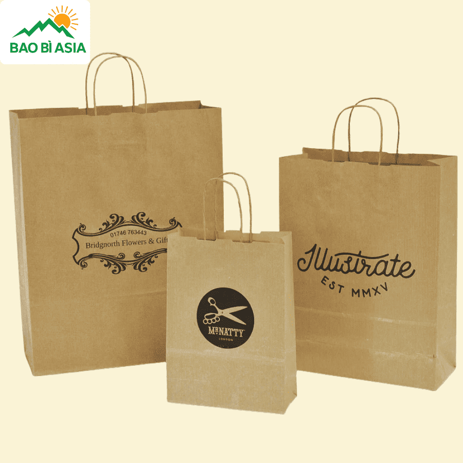 Mẫu hộp giấy, túi giấy 3