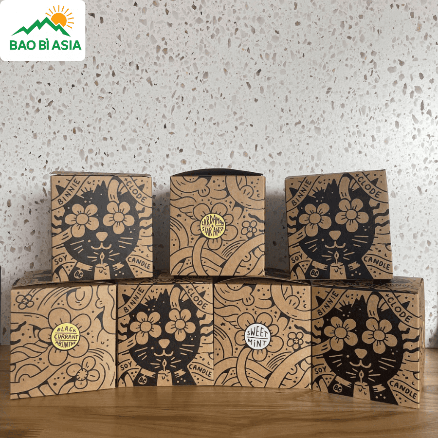 Mẫu hộp giấy, túi giấy 8