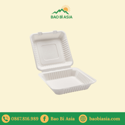 Hộp vỏ sò bã mía 6 inch (15x15cm) 1 ngăn