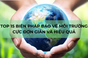 Những Biện Pháp Bảo Vệ Môi Trường