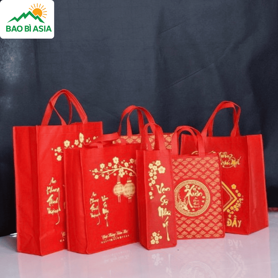 Túi giấy đựng quà Tết đẹp mẫu 13